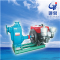 小型單缸柴油機自吸泵